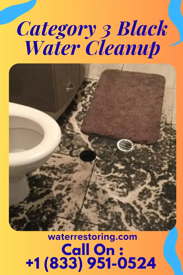 Category 3 Black Water Cleanup in Damiansville, IL