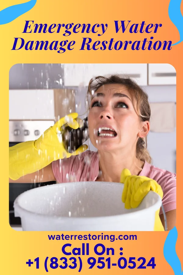 Emergency Water Damage Restoration in Damiansville, IL