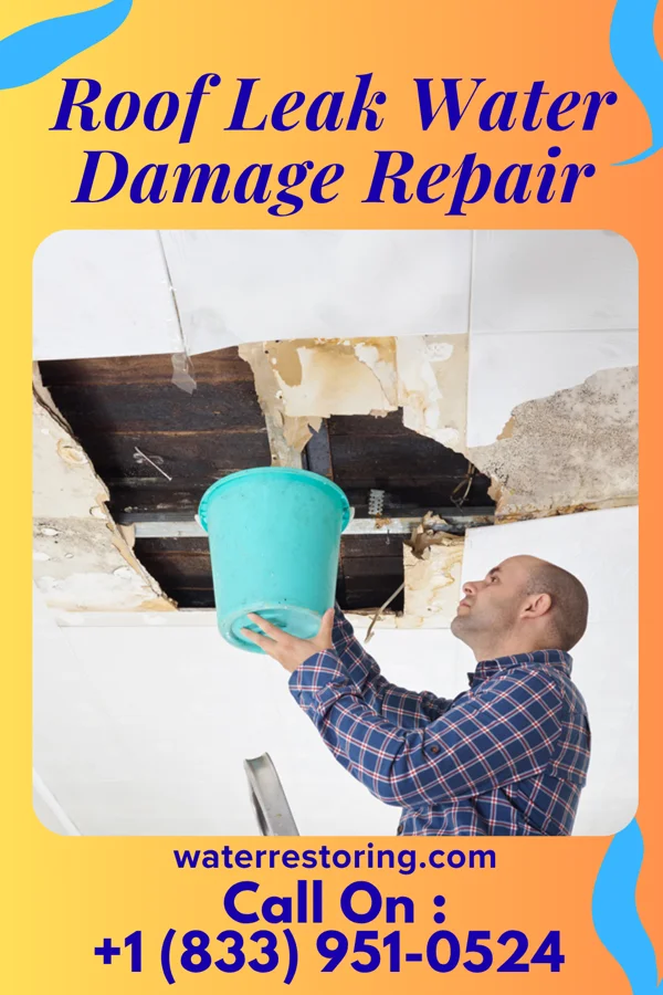 Roof Leak Water Damage Repair in Damiansville, IL