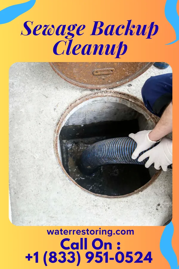 Sewage Backup Cleanup in Damiansville, IL
