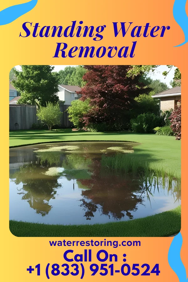 Standing Water Removal in Damiansville, IL